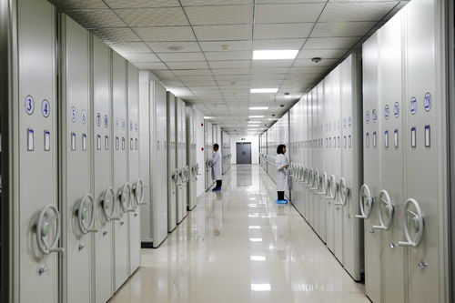 档案话百年，管理数字化——龙马潭区档案数字化加工处理实践探索